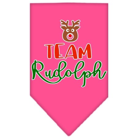 MIRAGE PET PRODUCTS Team Rudolph Screen Print BandanaBright Pink Small 66-422 SMBPK
